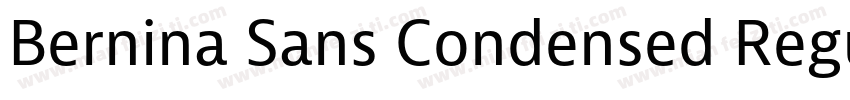Bernina Sans Condensed Regular字体转换